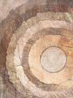 Natural Rings Of Life Art Print
