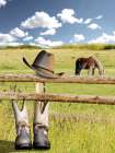Life On The Ranch 1 Art Print