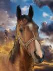 Twilight Steed Art Print