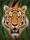 Roaming Wild 1 Art Print