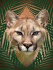 Roaming Wild 3 Art Print