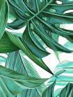 Passionate Passage 1 Art Print
