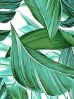 Passionate Passage 2 Art Print
