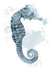 Weathered Seahorse Art Print