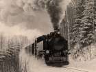Magical Ride Art Print