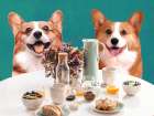 Doggy Breakfast 1 Art Print