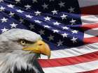 American Pride Art Print