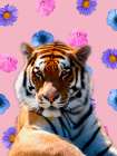 Floral Safari 3 Art Print