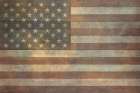Naturally American Art Print