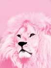 Blush Strength Art Print