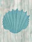 Coastal Shell 1 Art Print