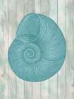 Coastal Shell 3 Art Print