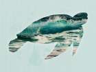 Coastal Turtle 1 Art Print
