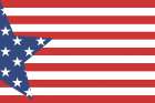 American Star Art Print