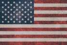 Free America 1 Art Print