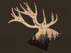 Wooden Wilderness 2 Art Print