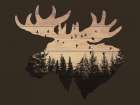 Wooden Wilderness 3 Art Print