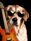 Rockin Dog Art Print