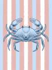 Crab Trap Art Print