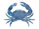 Watercolor Crab Art Print