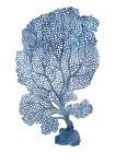 Watercolor Coral Art Print