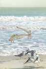 Flocking Friends Art Print