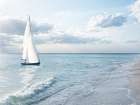 Approaching Shore Art Print