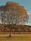 Farm Autumn Day Art Print