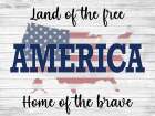 Land Of The Free Art Print