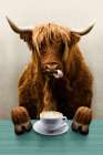 Coffee Cattle Art Print