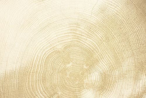 Wooden Comfort 1 Food Print