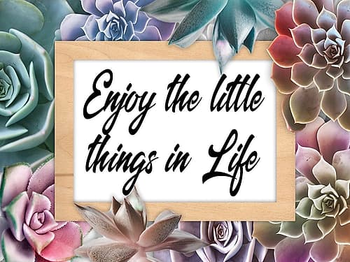 Life Joys 1 Art Print