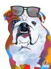 Flashy Bulldog 1 Art Print