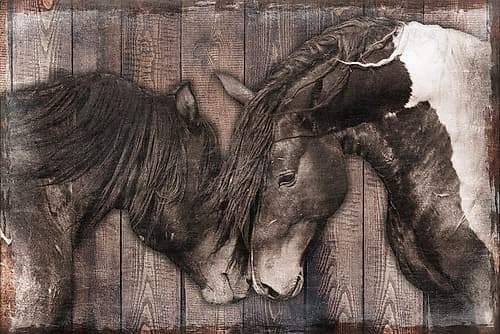 Loving Snuggles 1 Animaux reproduction