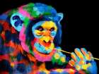 Monkey Color Burst 1 Art Print