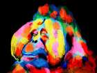 Monkey Color Burst 2 Art Print