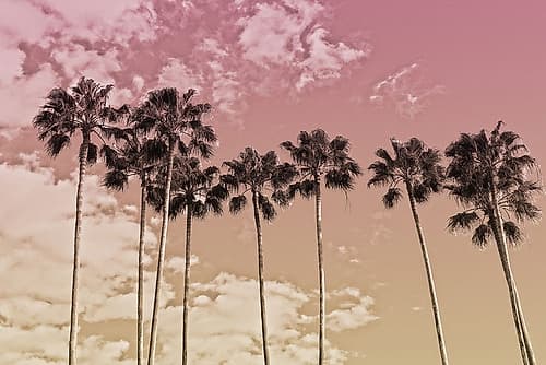Desired Destinations 2 Coastal Print