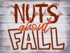 Nuts About Fall Art Print