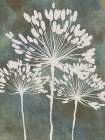 Eclectic Floral 1 Botanical Print