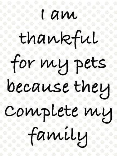 Complete Family Art Print
