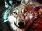 Spirit Animal 1 Art Print