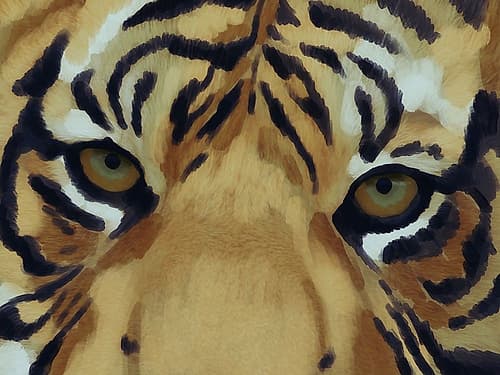 Tiger Burst 1 Africa Print