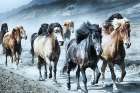 Group Run Art Print