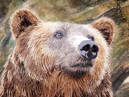 Urban Bear 1 Art Print