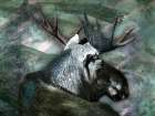 Spirit Moose 1 Art Print