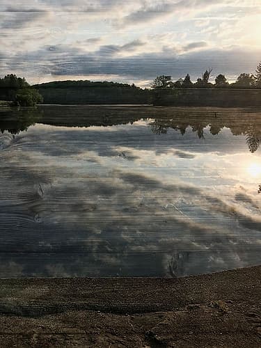 Peaceful Walk Photography Print