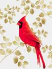 Cheerful Cardinal 1 Art Print