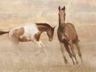 Running Free 2 Art Print
