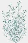 Misty Grass Botanical Print