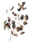 Autumn Balance 2 Art Print